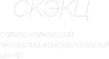 Логотип компании СКЭКЦ
