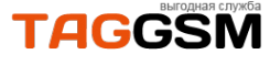 Логотип компании TAGGSM магазин запчастей для телефонов