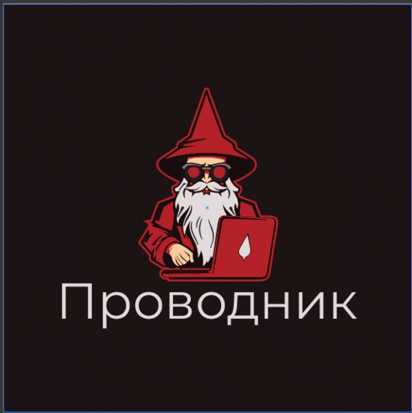 Логотип компании Проводник