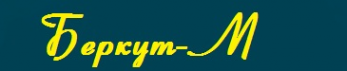Логотип компании Беркут-М