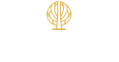 Логотип компании Ангел Concept
