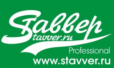 Логотип компании Ставвер