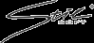 Логотип компании Стилсофт