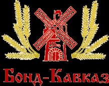 Логотип компании БОНД-Кавказ