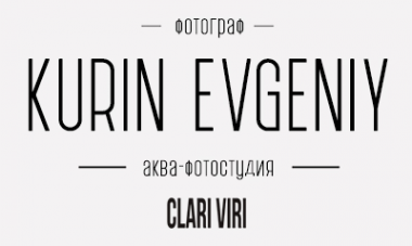 Логотип компании ClariViri