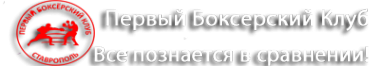 Логотип компании Первый Боксерский Клуб