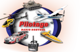 Логотип компании Пилотаж