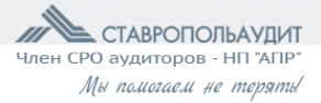 Логотип компании БасКо-Аудит