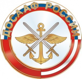 Логотип компании МО ДОСААФ России г. Ставрополя