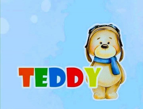 Логотип компании Teddy club