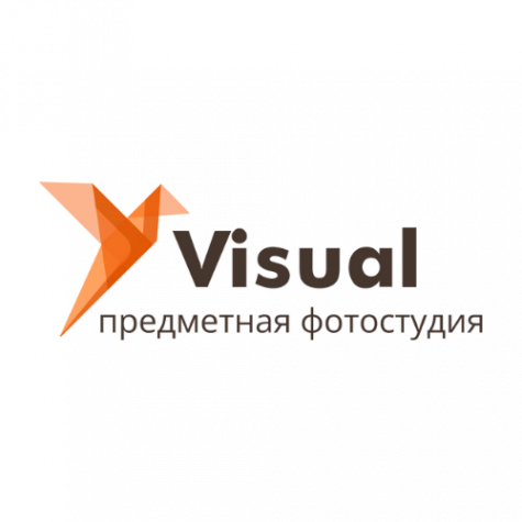 Логотип компании Визуал